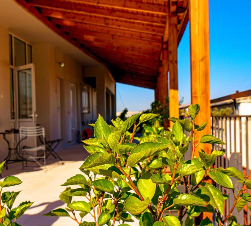 Carolina Hotel since 1934 - Resim 8