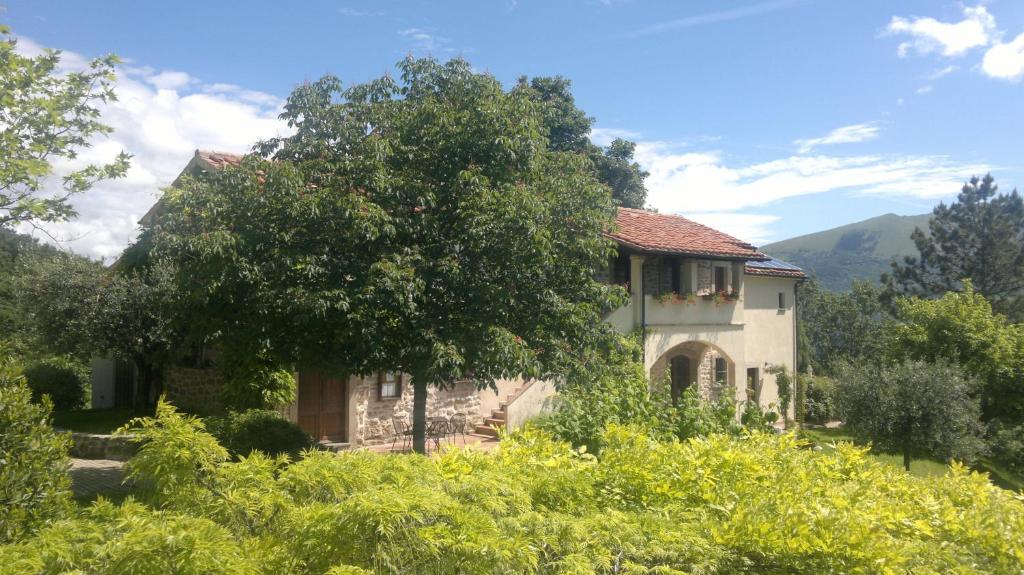 una casa con un árbol delante de ella en Casale degli ulivi, en Gualdo Tadino