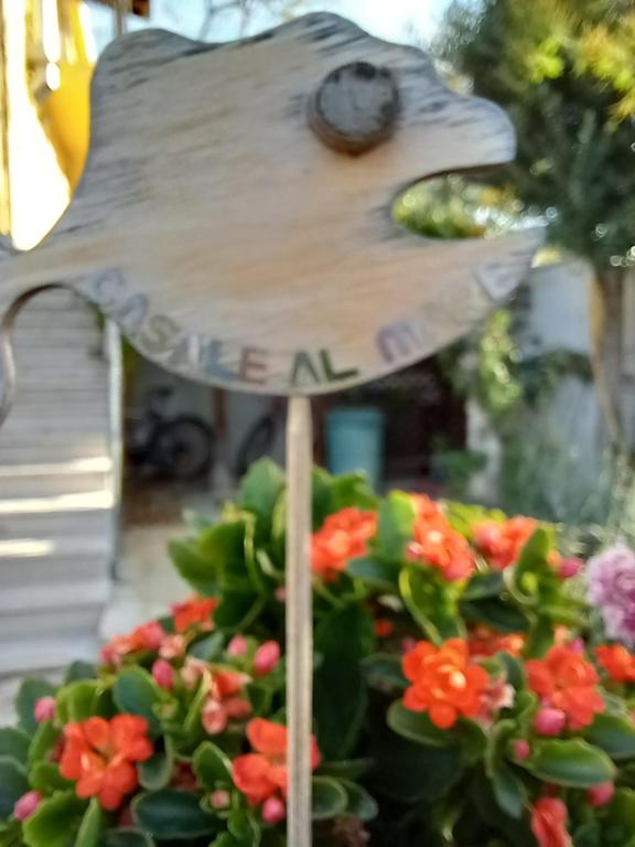 A garden outside Villetta con giardino e parcheggio coperto
