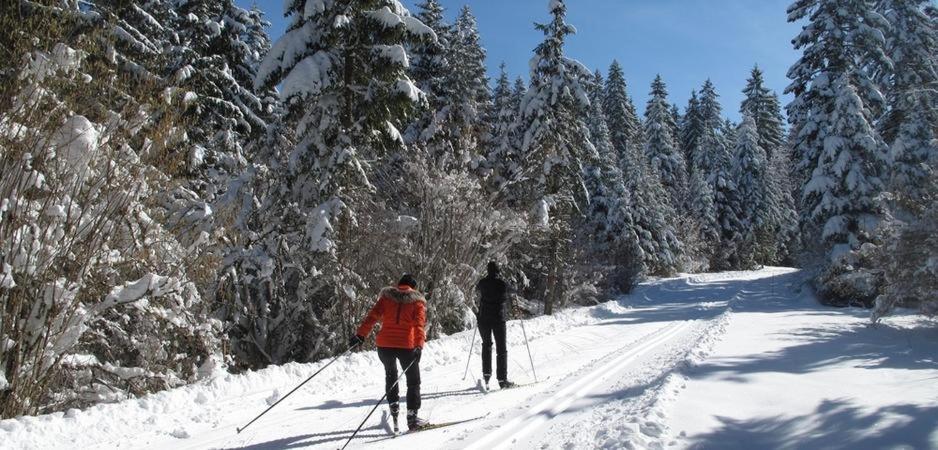 twee mensen langlaufen op een sneeuwbedekte route bij Duplex lumineux haut Jura in Ponthoux