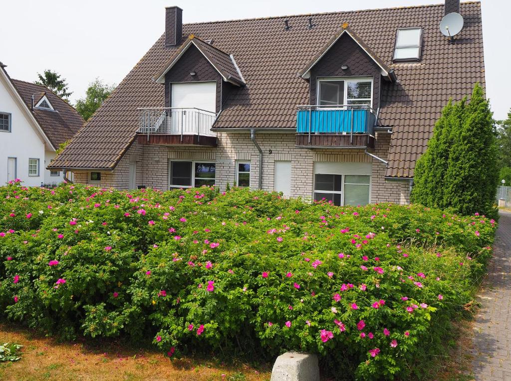 ein Haus mit einem großen Blumenstrauch davor in der Unterkunft Kranichinsel in Klein Kirr