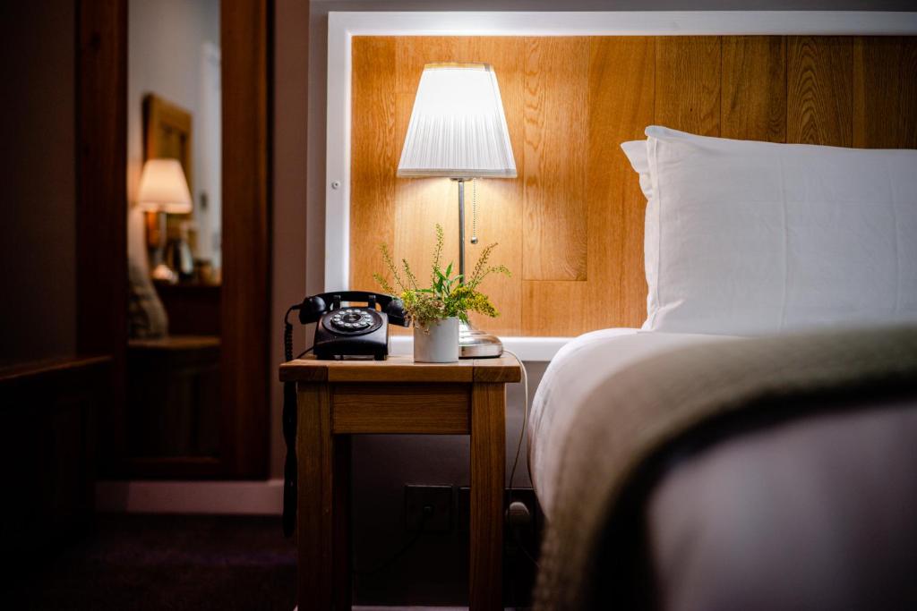 The Golden Lion, Newport, PEMBROKESHIRE - Standard Double Room