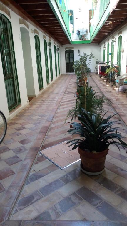 un cortile vuoto con piante in un edificio di Azahar a Siviglia