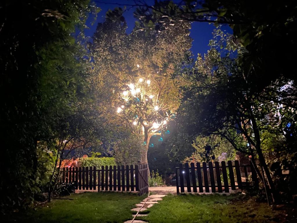 Zahrada ubytování Eco-Resort Finca maestra