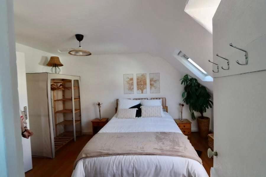 1 dormitorio con 1 cama grande en una habitación en Le 17 Entre Gare et Château en Amboise