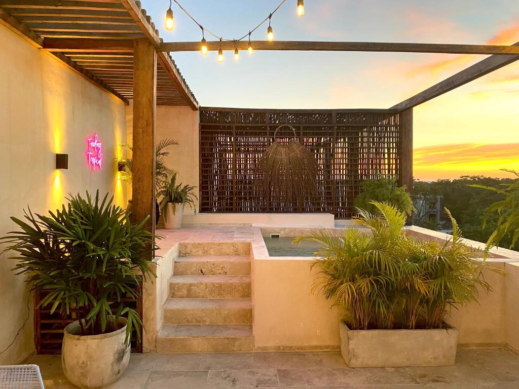 Tropical Penthouse Apartments With Private Pool