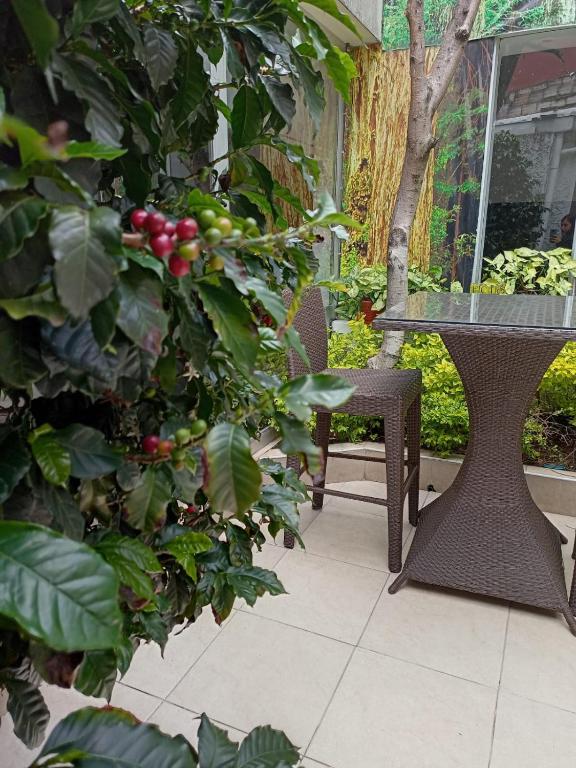 Zahrada ubytování Hotel Marbella Chico