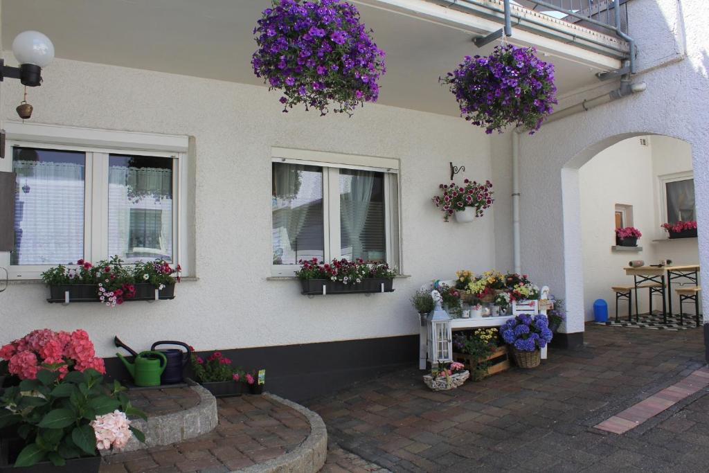 a patio with flowers in pots on the side of a building at Ferienwohnung -kiefer in Hillscheid