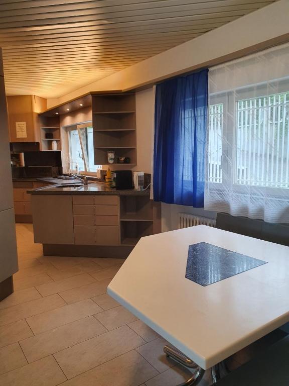 Kuchyň nebo kuchyňský kout v ubytování Viktoria Budget Hostel