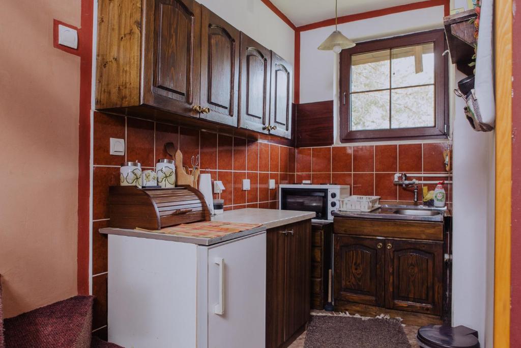 Una cocina o cocineta en Kuća za odmor Đurđević