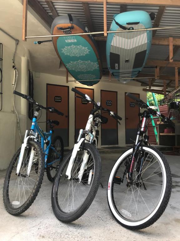 Jízda na kole v ubytování Yogi-Homestay nebo okolí