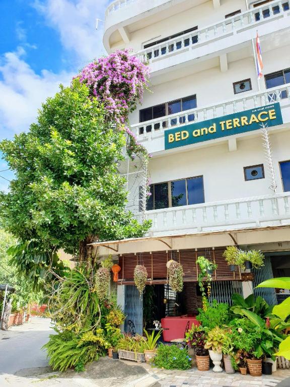 Bed and Terrace Guesthouse Chiang Mai - Resim 7