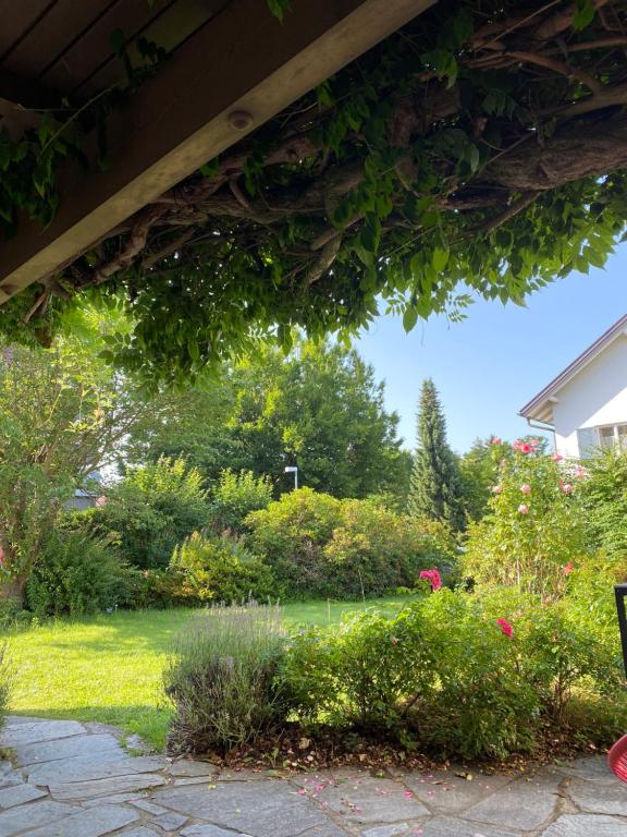 Zahrada ubytování Haus im Zentrum mit Garten