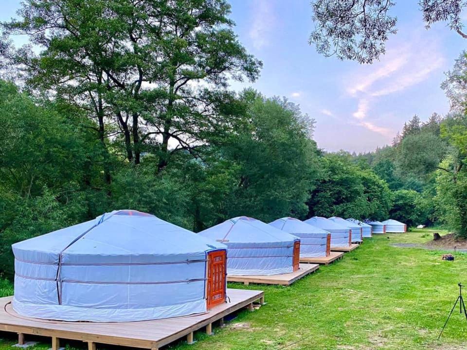 a row of blue tents sitting in the grass at Mongolian Yurt Camp in Český Šternberk