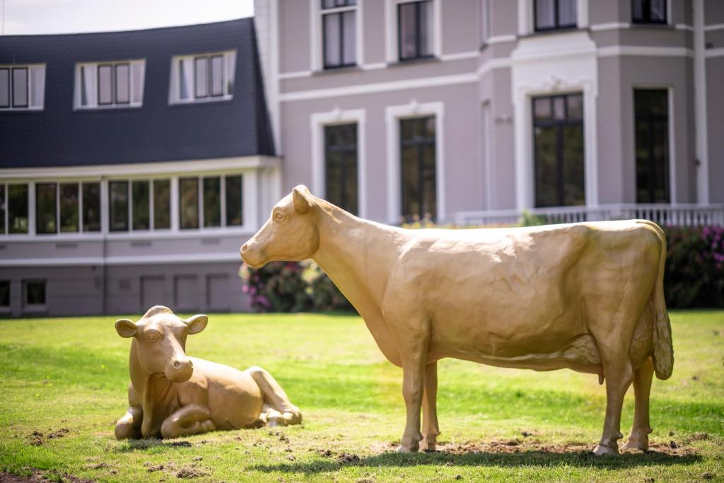 Zvířata v hotelu nebo okolí