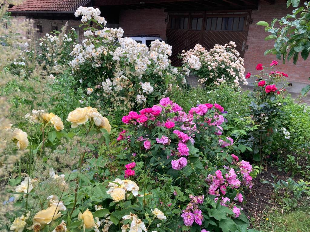 Zahrada ubytování B&B Perron13