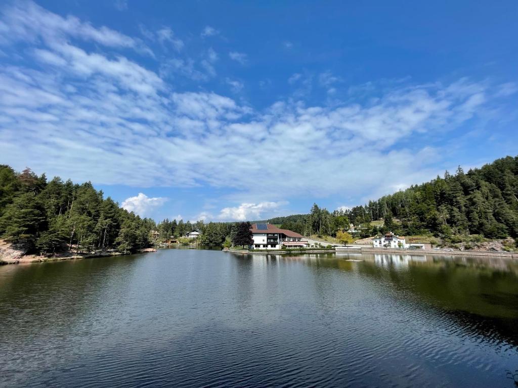 ソプラボルツァーノにあるHotel Am Wolfgrubenerseeの木々が茂る湖の景色