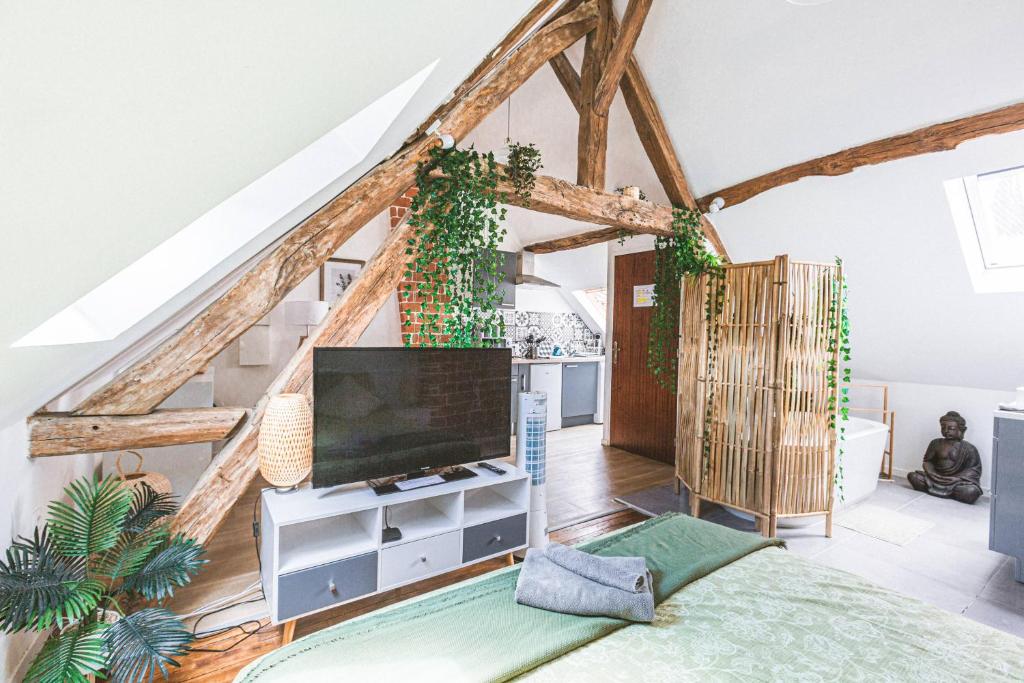 ein Wohnzimmer mit einem großen TV im Dachgeschoss in der Unterkunft Au Zen Garden in Auxerre