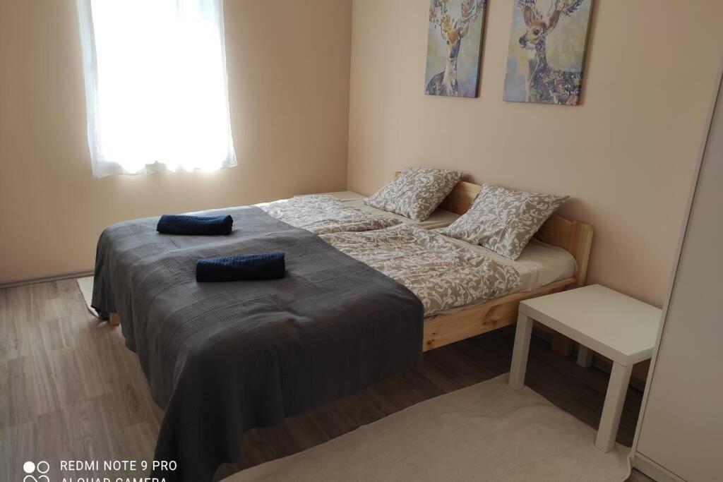sypialnia z łóżkiem z 2 niebieskimi poduszkami w obiekcie Süni apartman w mieście Ordacsehi
