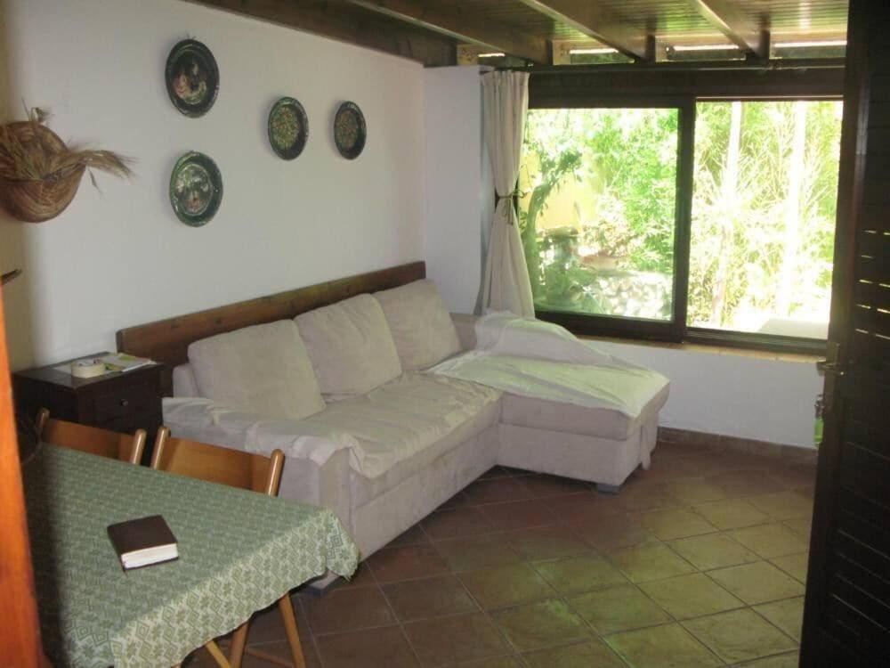 Posezení v ubytování Domus La Pineta