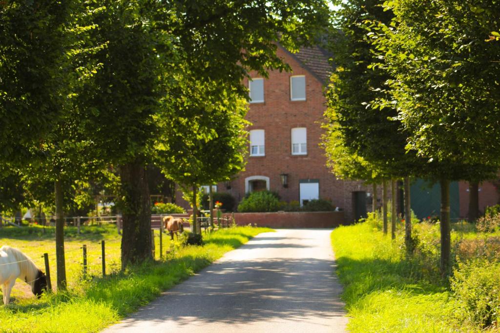 Ein Pferd weidet im Gras neben einer Straße in der Unterkunft Gut Huthmacherhof in Jülich