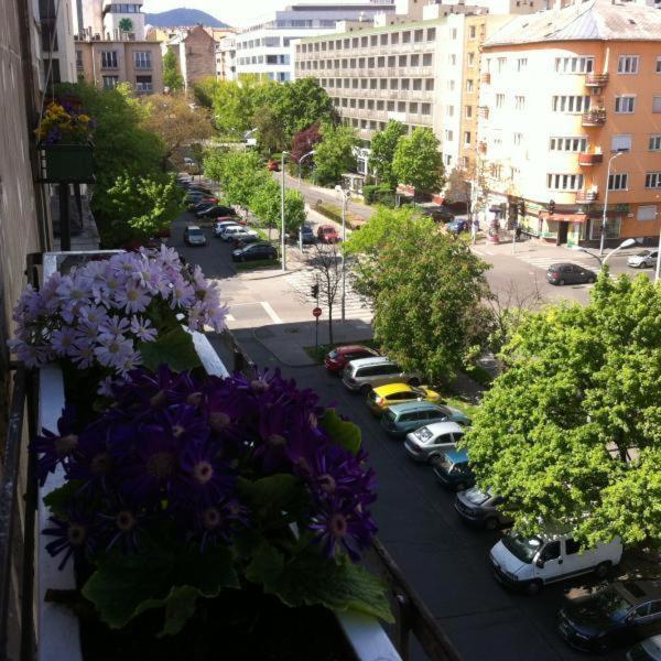 Okolie apartmánu