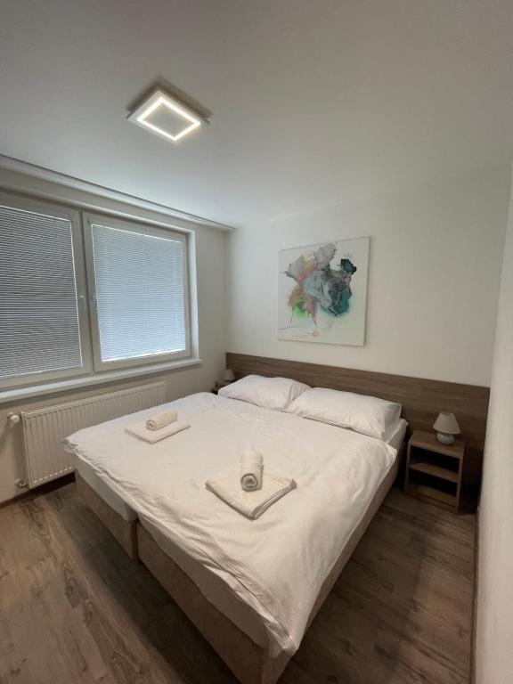 111Apartments - Appartement Met Balkon Met Gedeelde Keuken