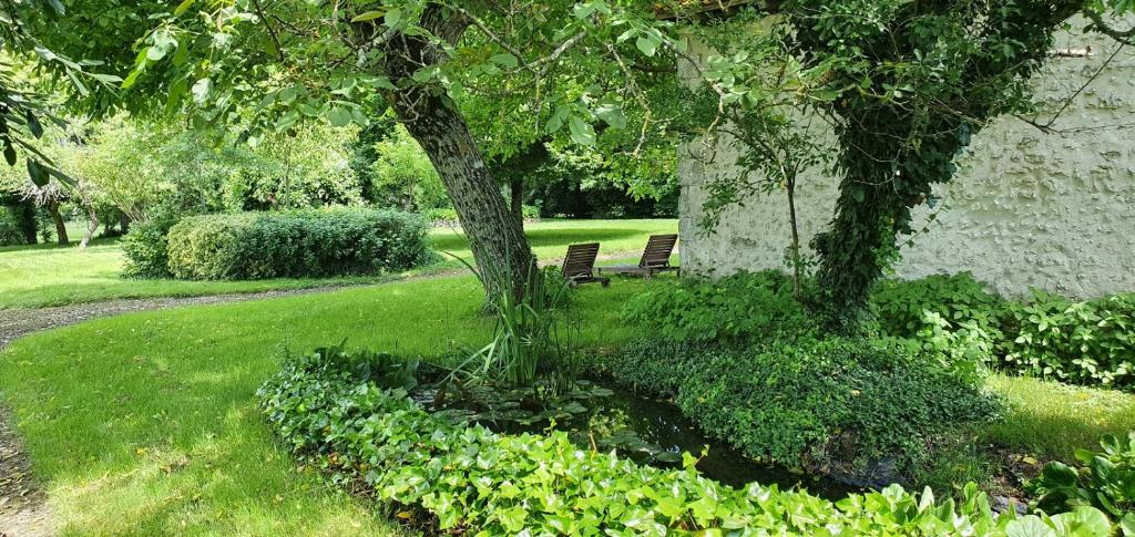 two benches sitting under a tree in a yard at Gîtes à la campagne - La Petite Clavelie in Ribérac