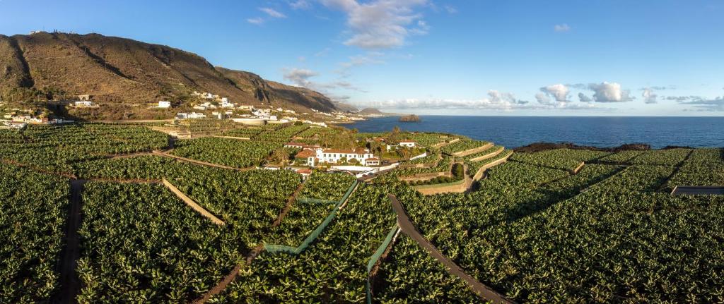 uma vista aérea de um vinhedo próximo ao oceano em Hotel El Patio em Garachico