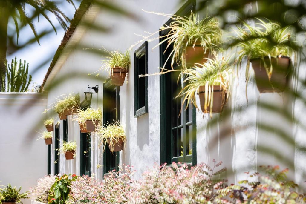 Um jardim no exterior de Hotel El Patio