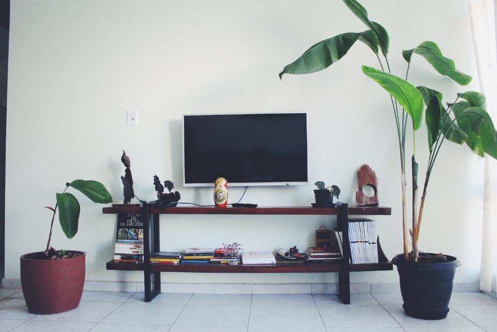 ein Wohnzimmer mit zwei Topfpflanzen und einem TV in der Unterkunft Paradise Hostel e Flats in Itatiaia