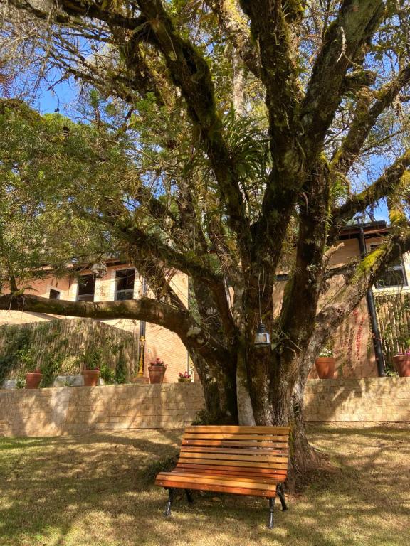 Zahrada ubytování LA PIANTA - Uma experiência na Villa de Monte Verde