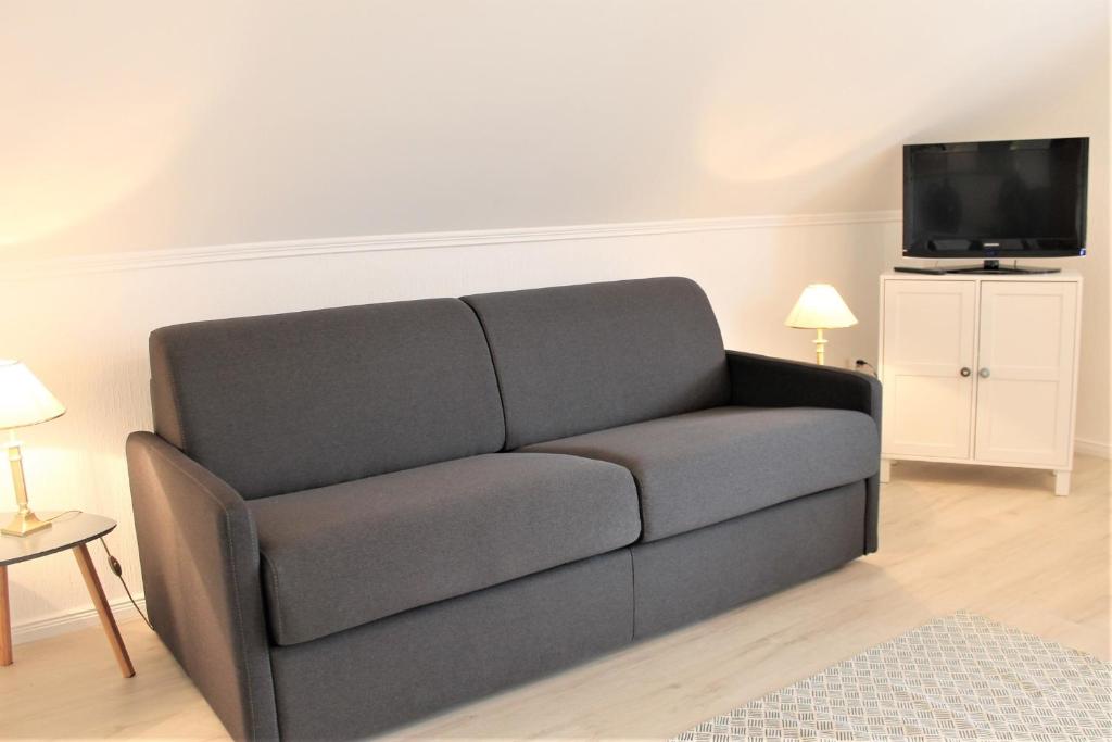 a gray couch in a living room with a tv at Haus Barbara - Schwimmbad und Sauna im Haus -Whg 4 in Grömitz