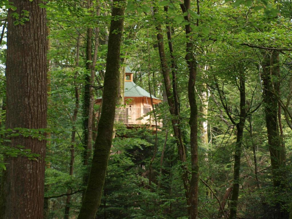 une maison au milieu d'une forêt plantée d'arbres dans l'établissement Les cabanes de Kermenguy, à Cléder