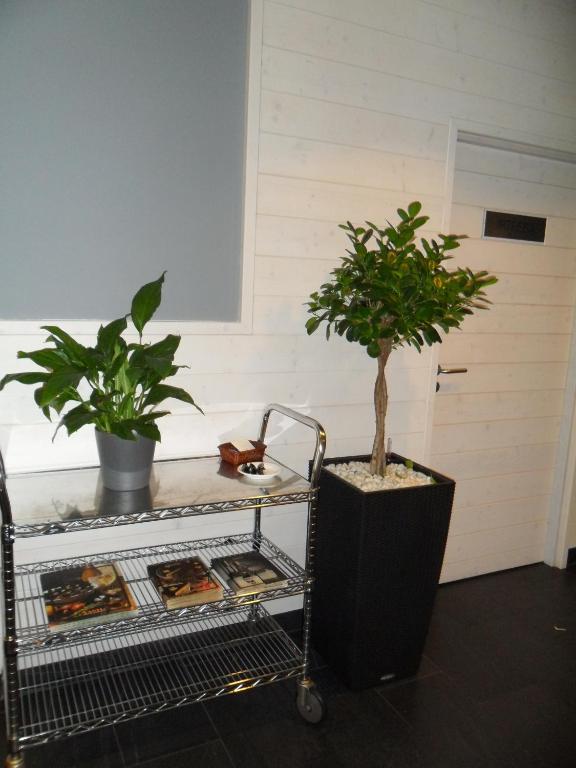 Hotel Anoeta - Resim 43