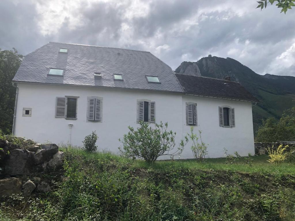 Příroda nedaleko bed and breakfast
