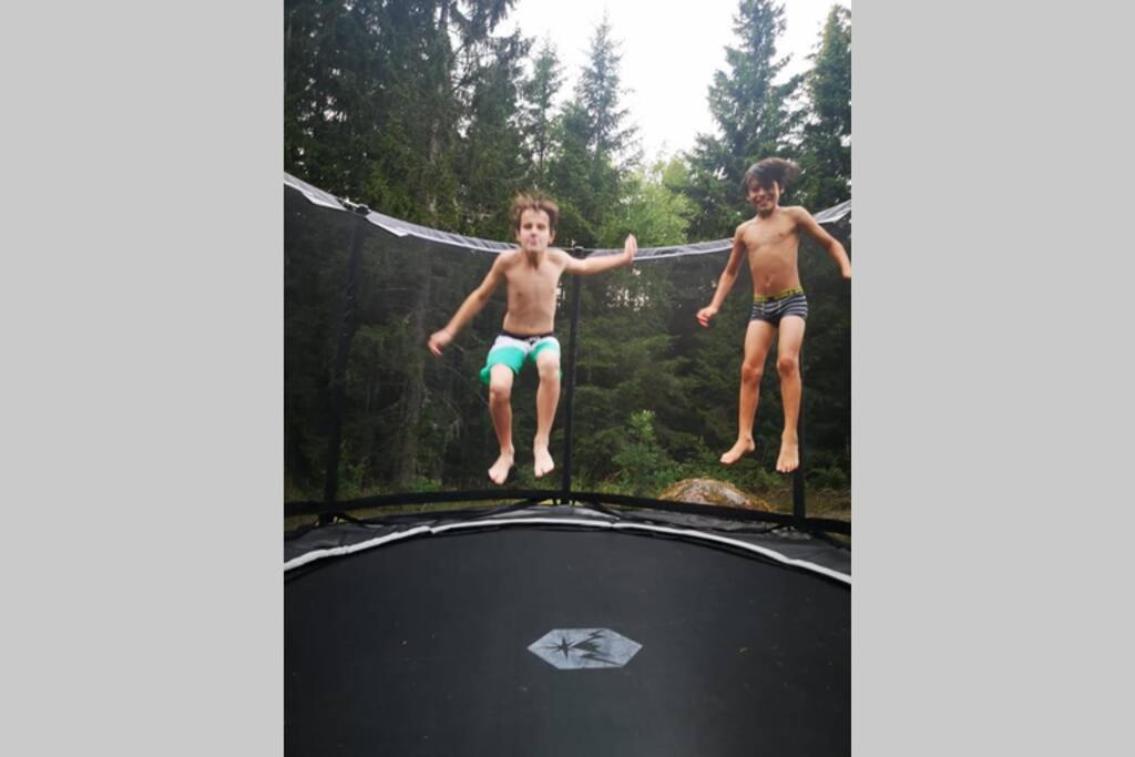 Hosté ubytování Skogsvillan