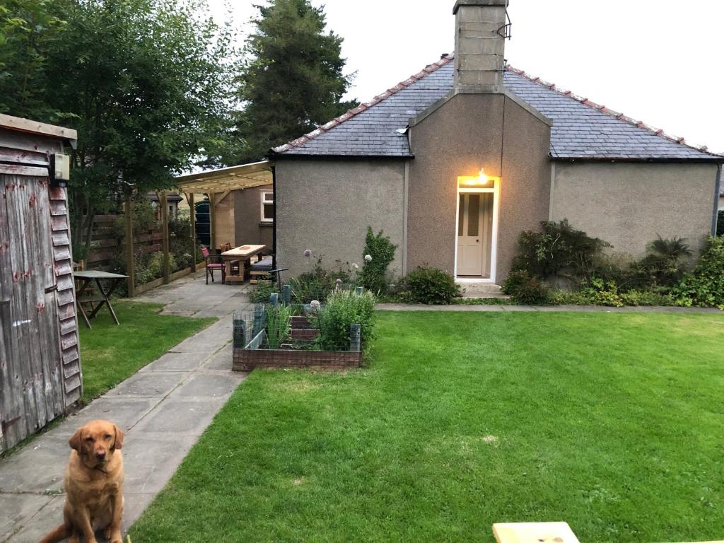 a dog sitting in the yard of a house at Nurse's Cottage in Tomintoul
