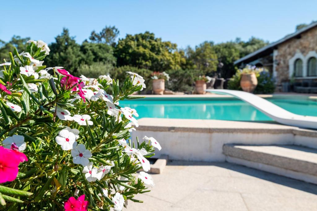 una piscina con fiori di fronte a una casa di Esclusiva Villa con piscina a Porto Rotondo