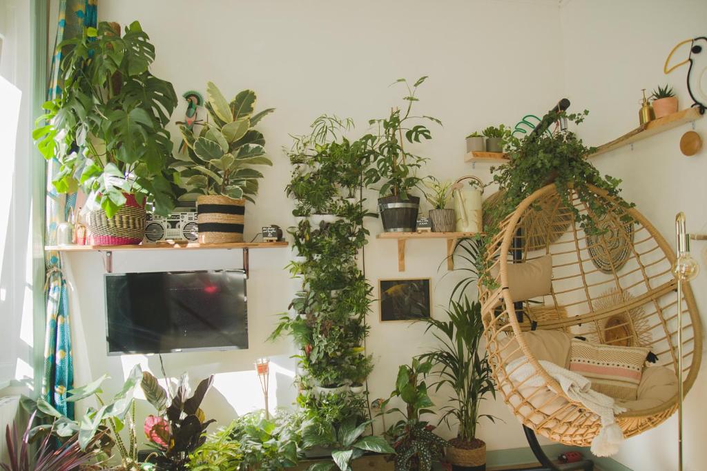 a room filled with lots of plants and a hanging basket at La Kanopee - Les Loges Normandes in Cherbourg en Cotentin