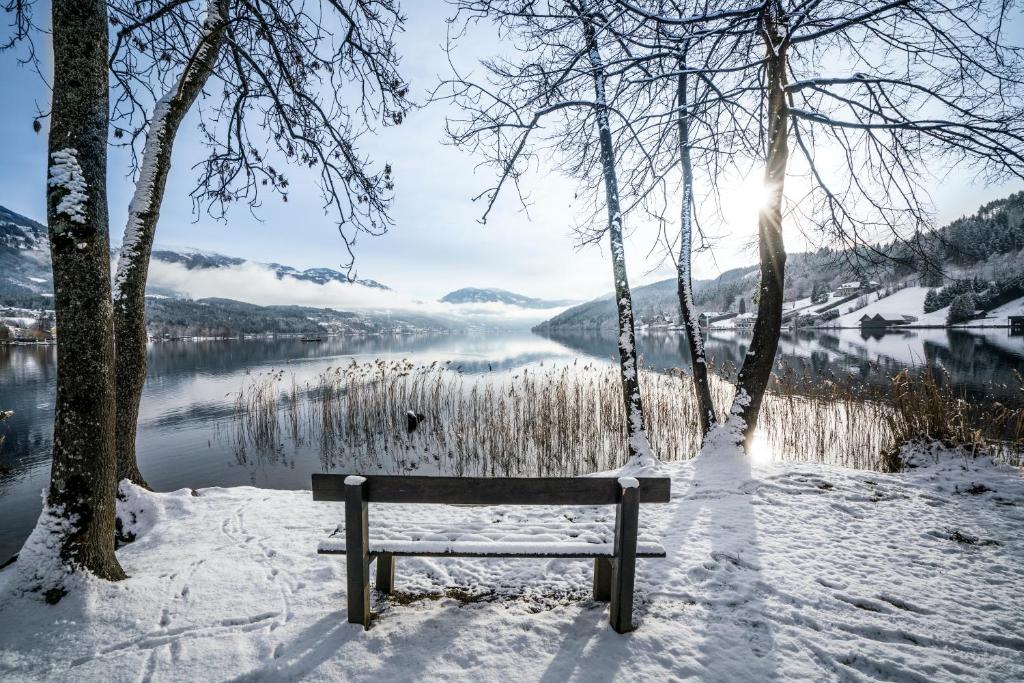 Príroda v okolí apartmánu