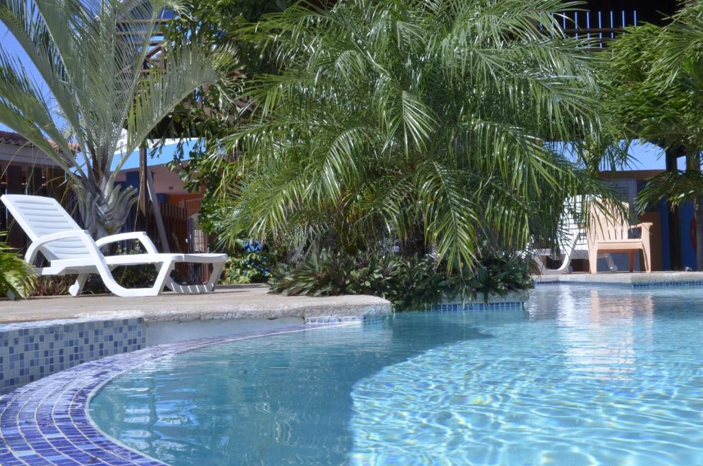 a swimming pool with two chairs and a palm tree at Nos Krusero Apartments in Sabana Westpunt