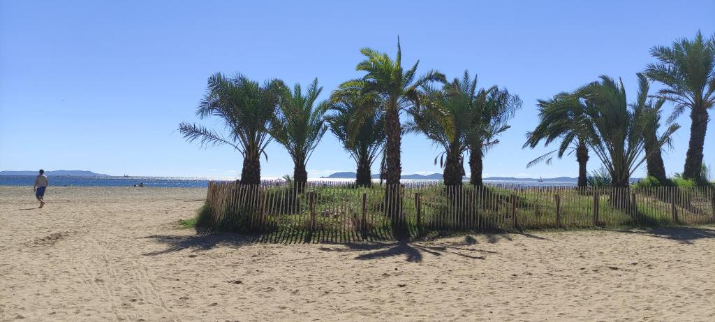 a man walking on a beach with palm trees at chambres bleues côté plage et aéroport climatisées et parking gratuit in Hyères
