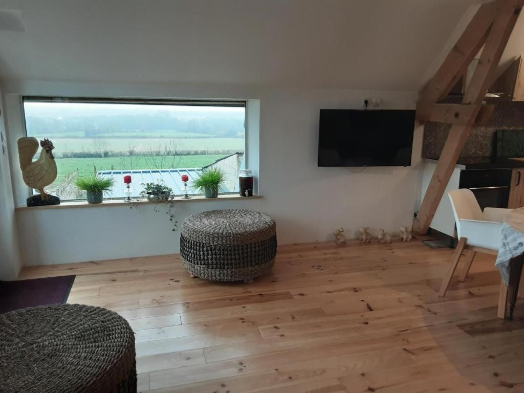 een woonkamer met een groot raam en een televisie bij chambre k au domaine du mont scolan in Montgardon