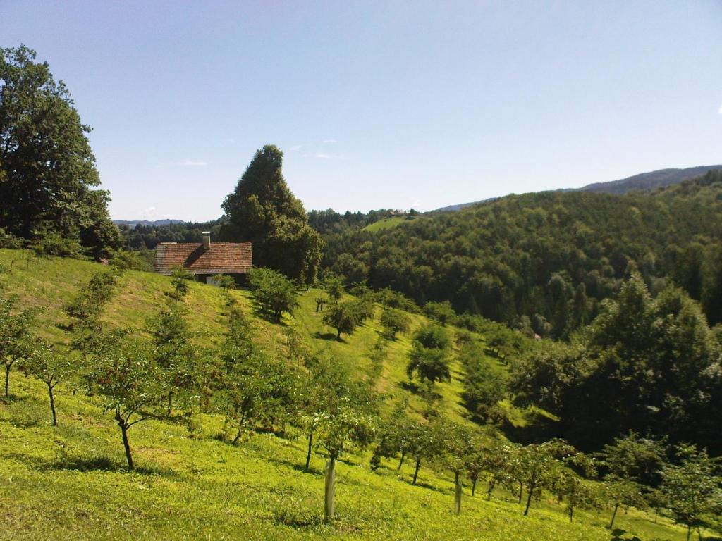 Příroda nedaleko apartmánu