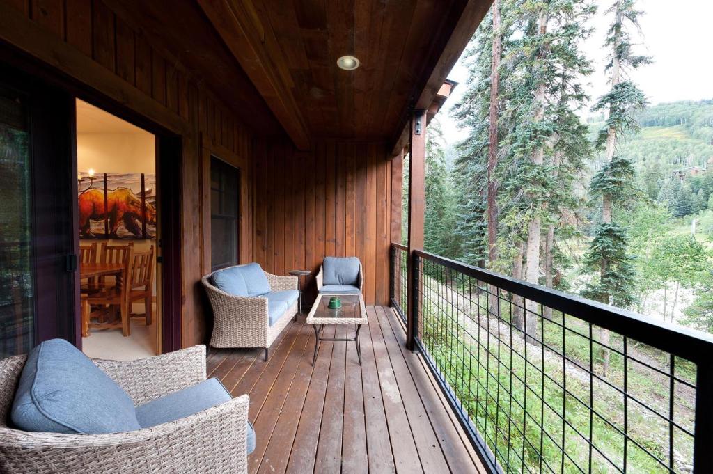 Black Bear 70 - Housity