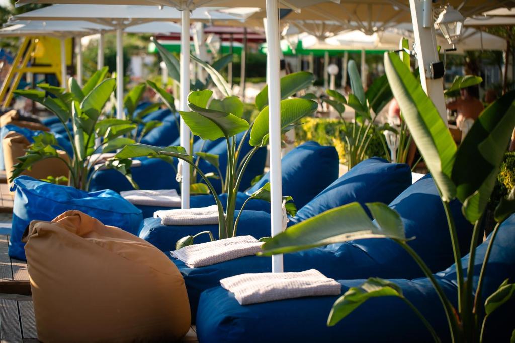 Zahrada ubytování Iliria Internacional Hotel