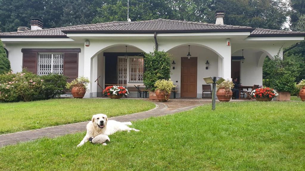 een hond in het gras voor een huis bij b&b le magnolie in Carimate