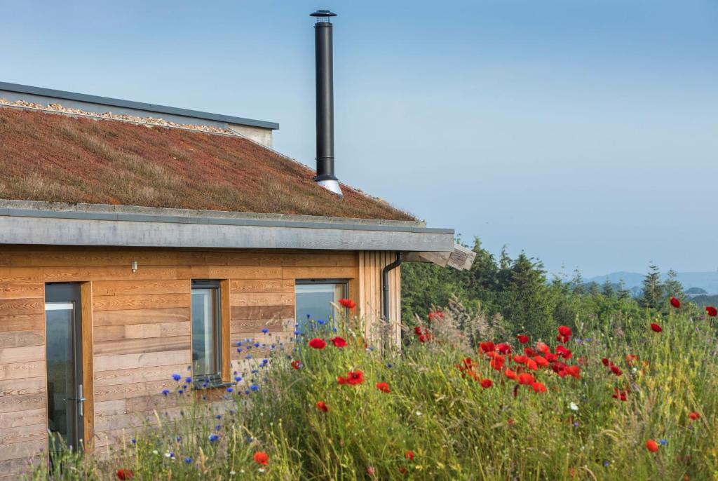 a house with a grass roof and a field of flowers at Fern in Ansty