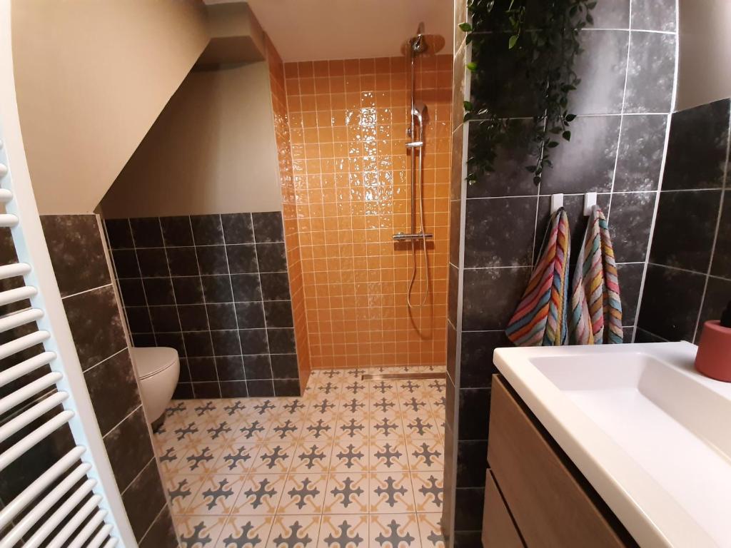 Koupelna v ubytování Appartement Voorhuis en chalet Klein Waterland